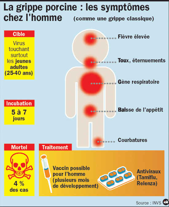 grippe-porcine-les-symptome-01