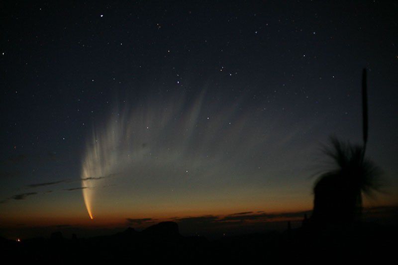 The C/2006 P1 comet photographed at the beginning of 2007. Credit R. H. McNaught