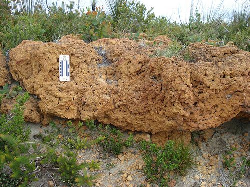 Block of laterite formed by ferralisation. © Paul J. Morris CC by-sa 2.0