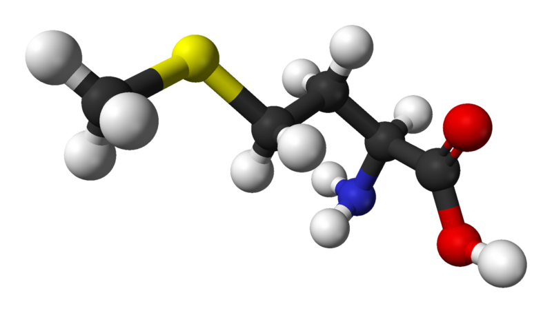 Methionine is an essential amino acid. © Ben Mills, Wikimedia, public domain