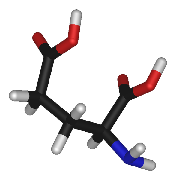 Glutamic acid is an amino acid and also an important neuromediator (carbon in black, oxygen in red, nitrogen in blue and hydrogen in white). © Photohound, public domain