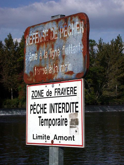 A sign marking the upstream limit of a fishing reserve established to protect a spawning ground. © Harald Walker CC by-nc 2.0