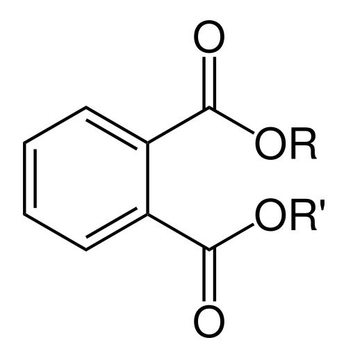 phtalate-dr