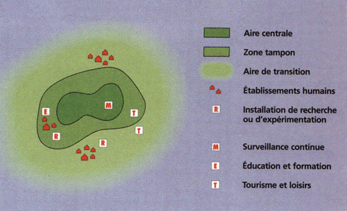 The different concentric zones of a biosphere reserve: from the full reserve in the centre to the transition area where different human activities are allowed. © UNESCO