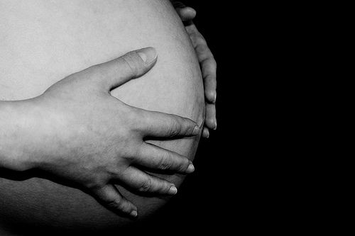 The pregnancy lasts nine months. © Laurent GL, Flickr CC by nc-nd 2.0