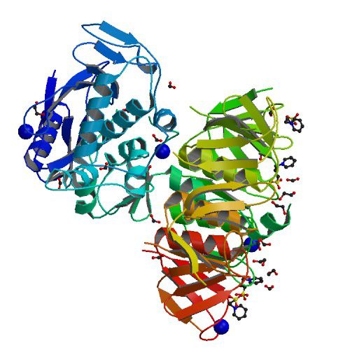 3D structure of shiga-toxin STX2 secreted by E. coli O157:H7. © Fraser, rcsb pdb.org, public domain