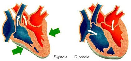 Systolic pressure is the pressure measured in the systolic phase. DR credits