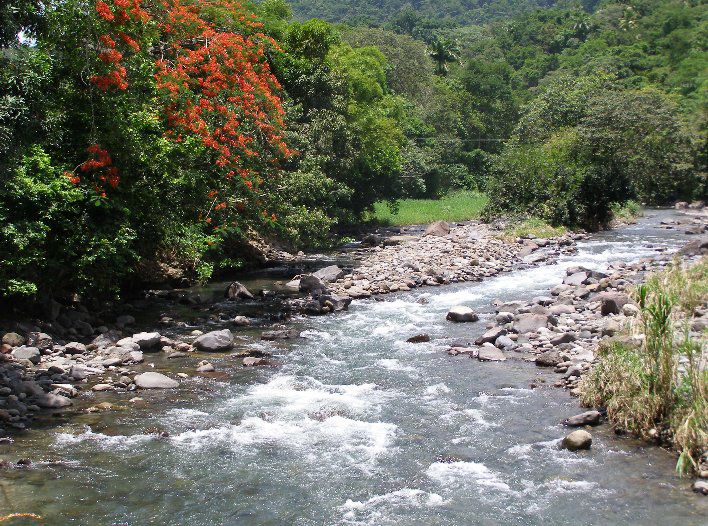 The banks of a river.© christine.overblog.com