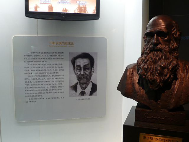 Mooto Kimura (on the left), the father of the neutralist theory of molecular evolution, alongside Darwin (on the right).... © loronet CC by-nc-nd 2.0