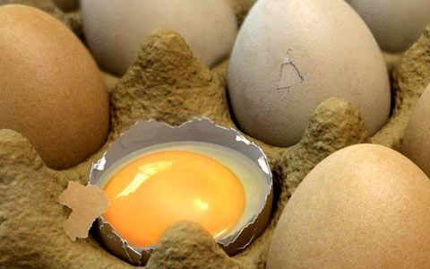 Egg yolk, a source of vitamin A. DR Credits