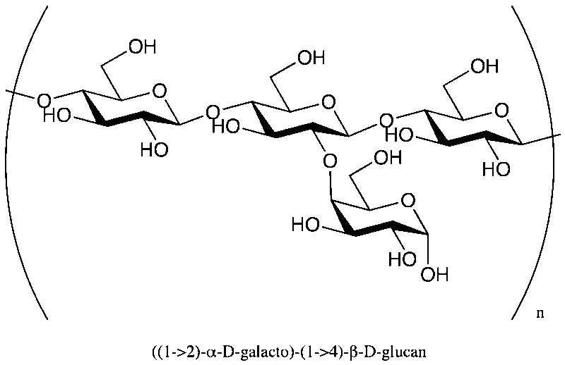 polysaccharidepolyosidepolyholoside-ccostellwikimediadomainepublic-01