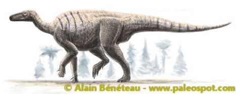 Reconstruction of an Iguanodon. © Alain Bénéteau