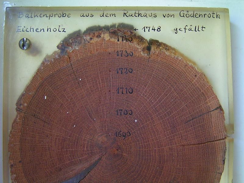 An example of dendrochronological dating. © Stefan Kühn / Wikimédia Commons, CC by-sa 3.0