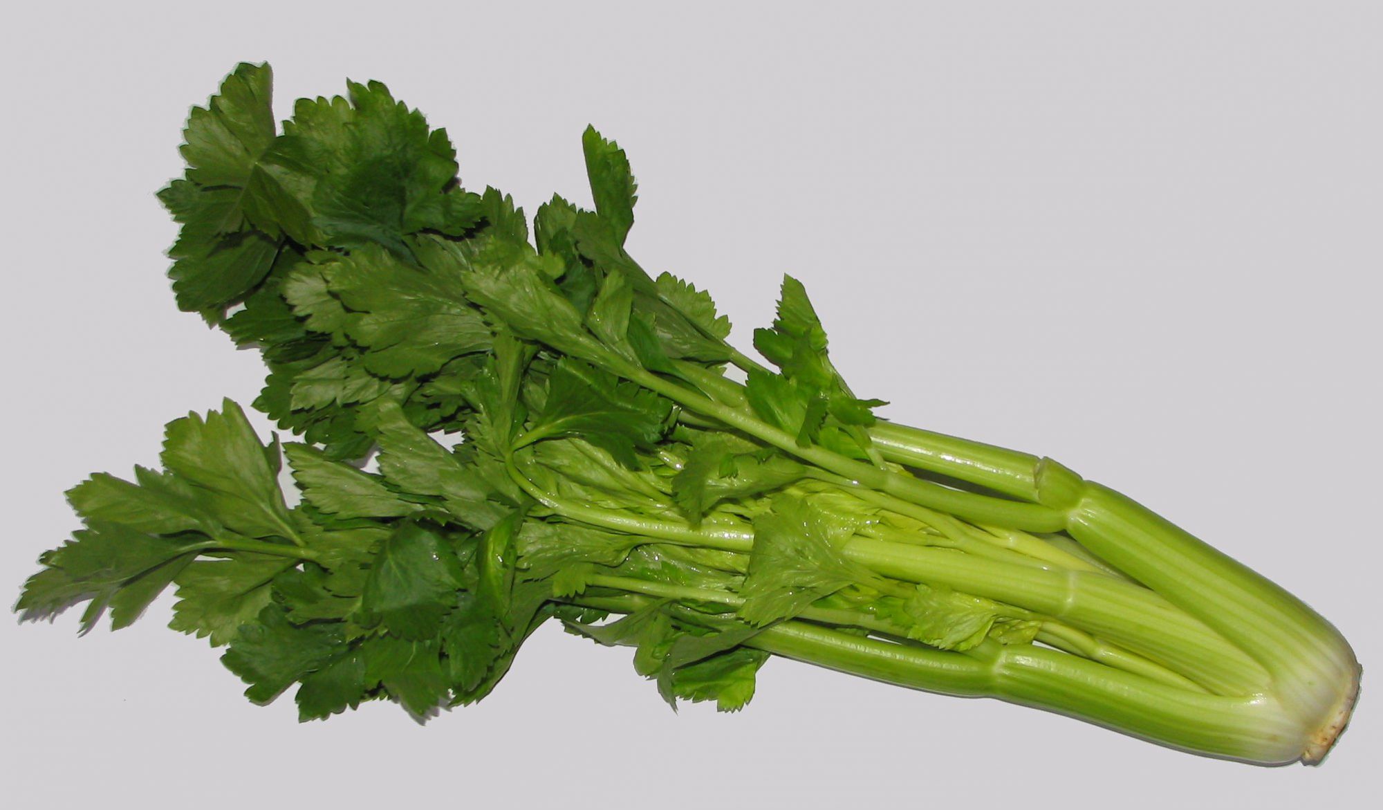Celery stalks are eaten. © Wikimedia Commons