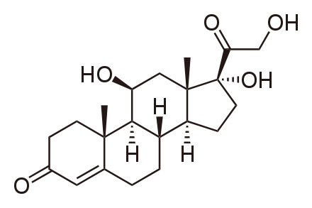 Cortisol is a glucocorticoid. © Public domain