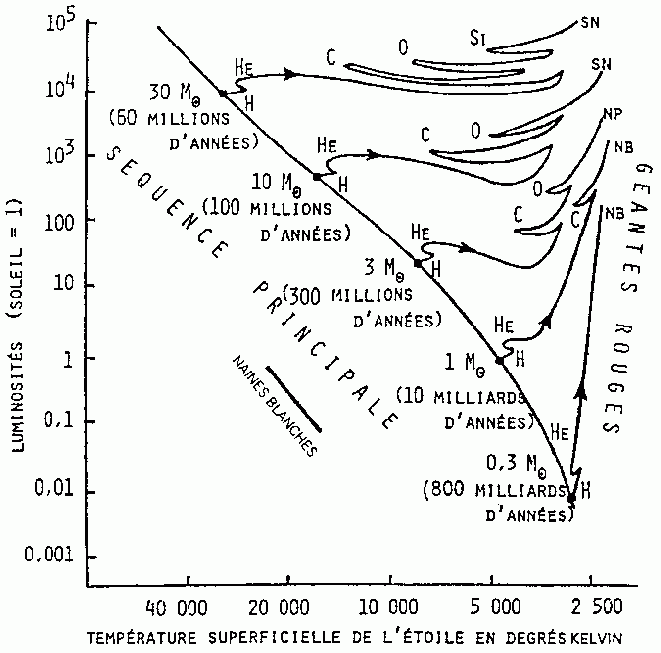 Depending on their position in the main sequence, the stars do not all have the same mass and do not stay on the main sequence for the same times, as can be seen in the diagram above. Depending on their mass, the stars eventually become supernovae (SN) or white dwarfs (WD).
