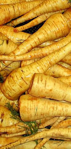 The parsnip is a forgotten vegetable that looks like a carrot. © Licence Creative Commons