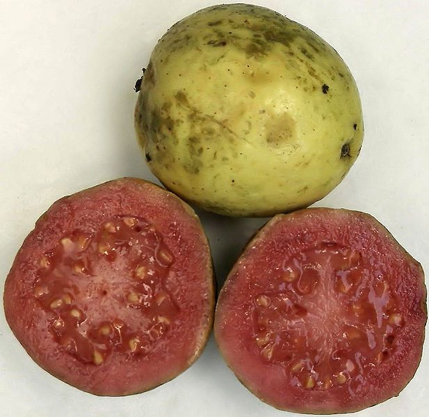 The guava is a fruit that stimulates intestinal transit. © Fibonacci/Licence Creative Commons